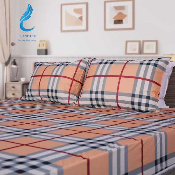 SET GA CHUN QUÂY THUN - Hình ảnh 2