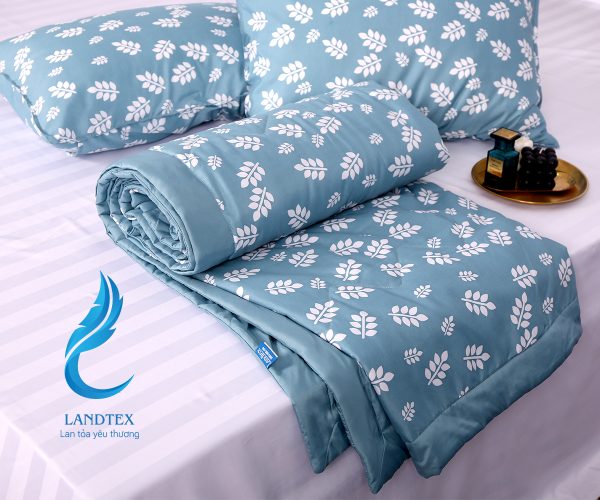 SET CHĂN HÈ BỐN MÙA POLY - Hình ảnh 2