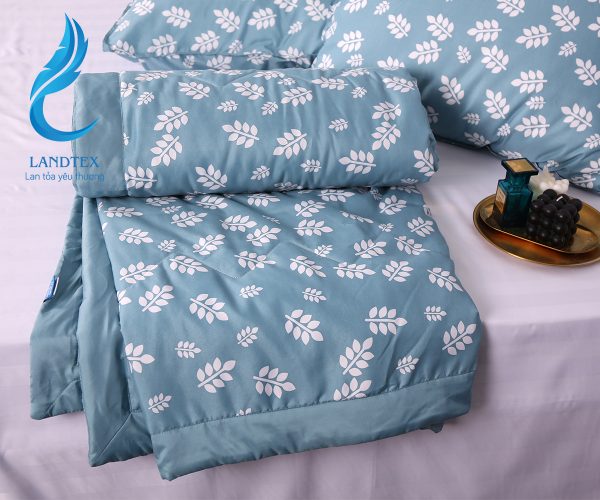 SET CHĂN HÈ BỐN MÙA POLY - Hình ảnh 3