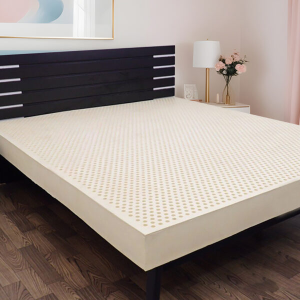 NỆM CAO SU THIÊN NHIÊN 20 CM - Hình ảnh 5